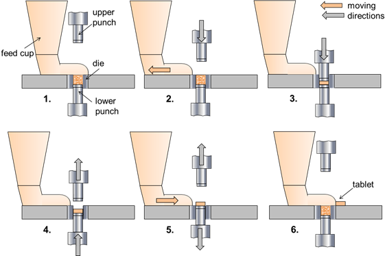 Working process of a tablet press machine.png