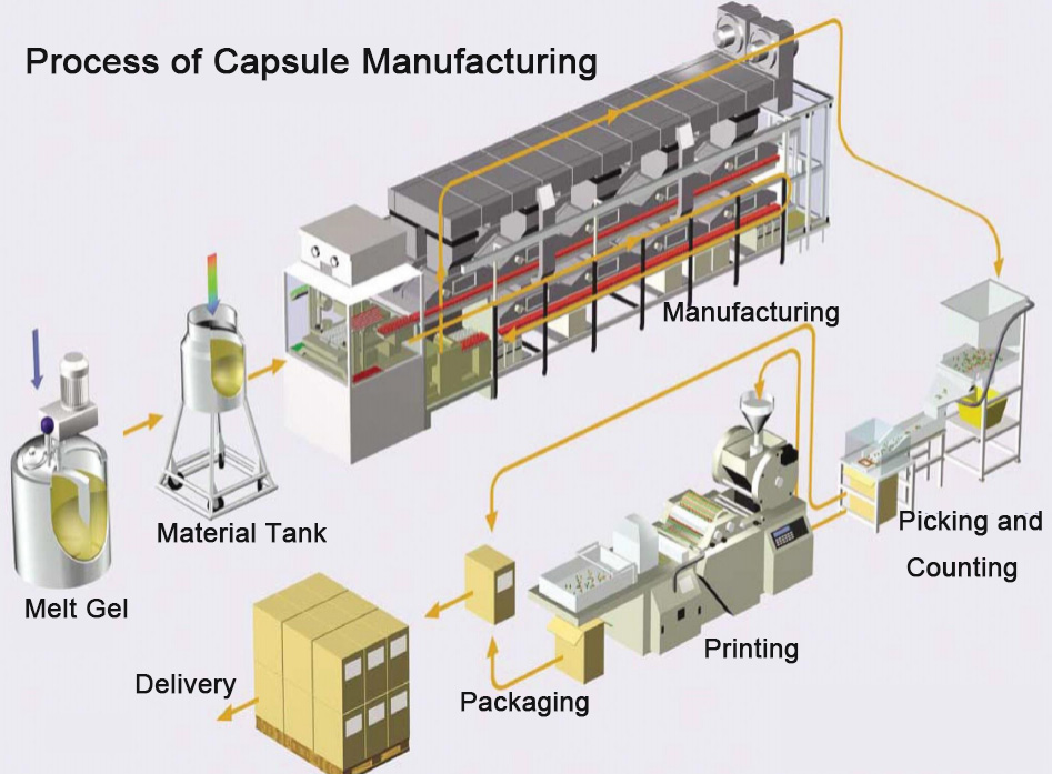 Process of Capsule Manufacturing.jpg