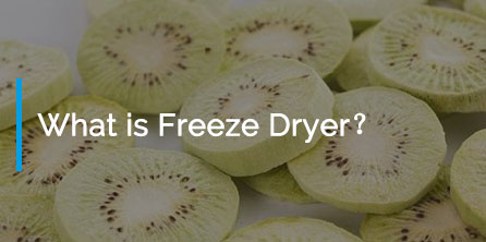 What is Freeze Dryer？